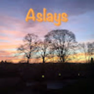 Meet your Posher, Serena